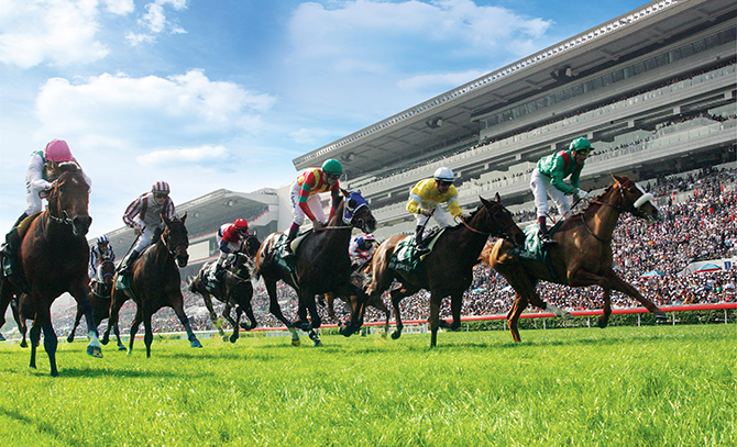 The Hong Kong Jockey Club